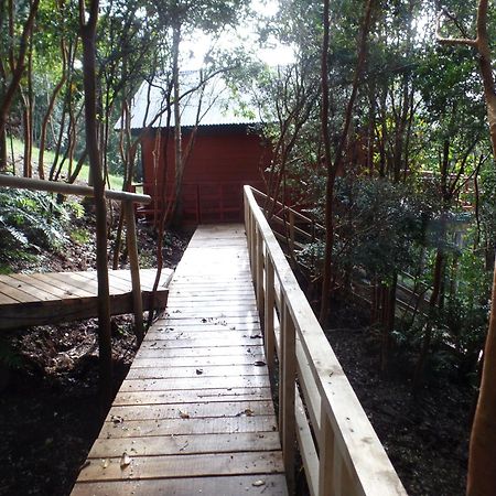 Parque Natural Rio Bravo Lodge Castro Exteriér fotografie