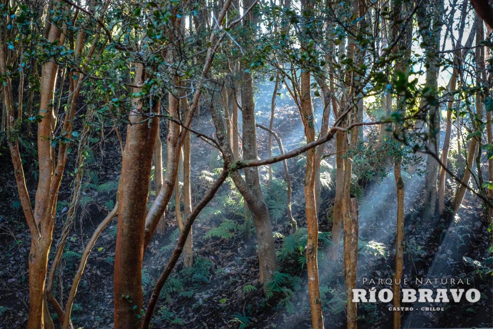 Parque Natural Rio Bravo Lodge Castro Pokoj fotografie