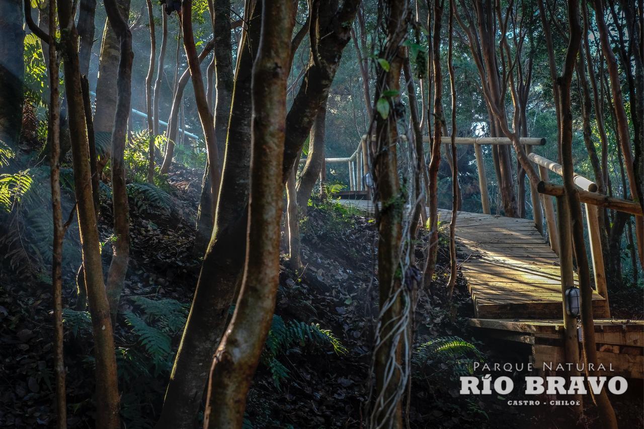 Parque Natural Rio Bravo Lodge Castro Exteriér fotografie