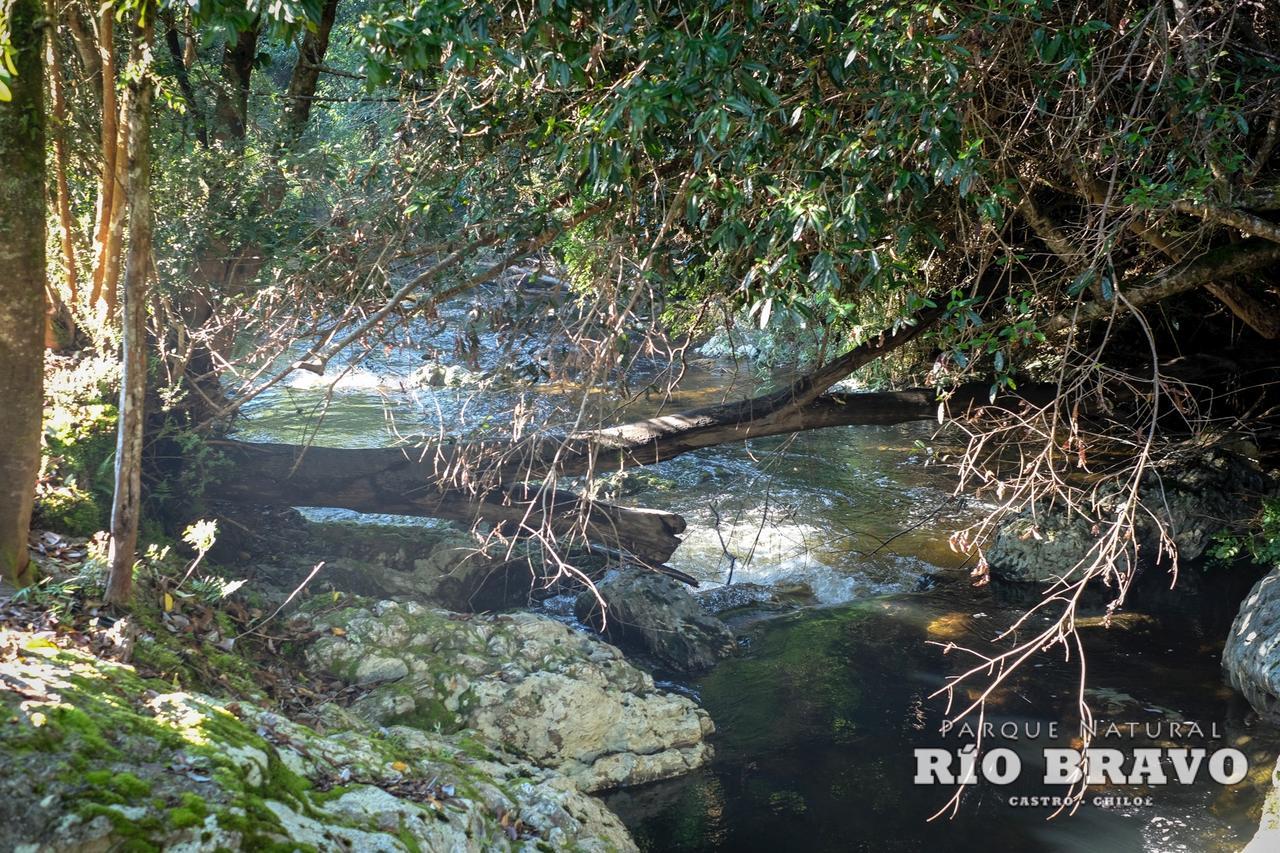 Parque Natural Rio Bravo Lodge Castro Exteriér fotografie